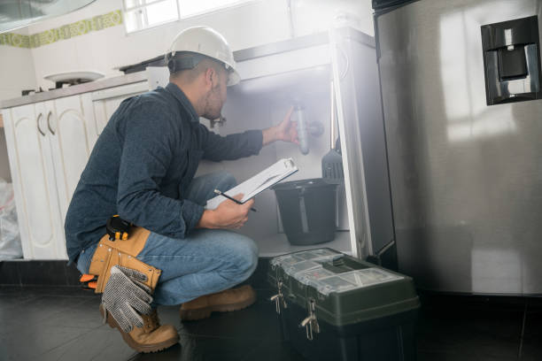 Best Best Plumbers Near Me  in Bellevue, IL