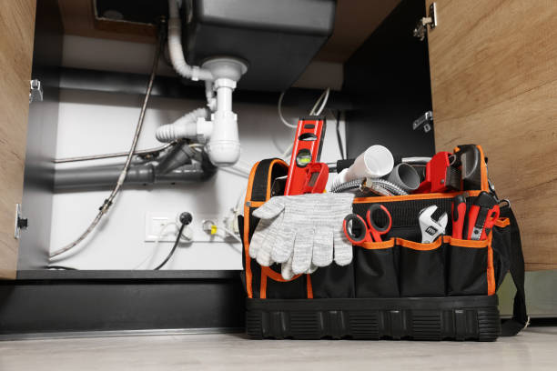 Best Commercial Plumbing Services  in Bellevue, IL