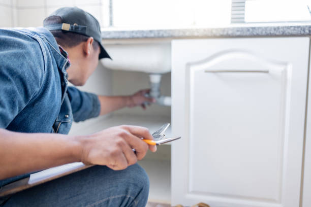 Best Local Plumber Services  in Bellevue, IL