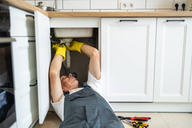 Best Drain Cleaning Services  in Bellevue, IL